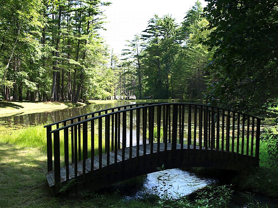 Bridge by the pond