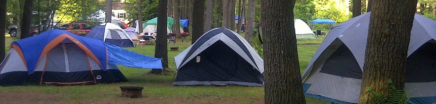 Tent sites in the pines