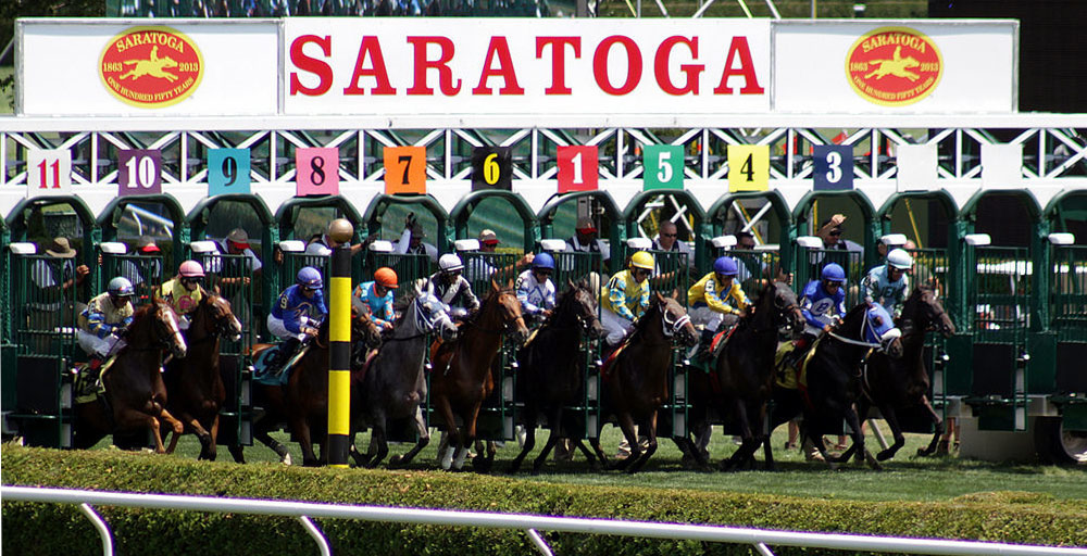 Horse racing starting gate